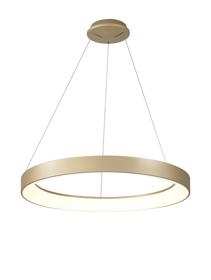 Niseko II Gold Ceiling Lights Mantra Ring Pendants